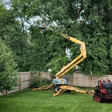 Best Tree Risk Assessment  in Bethel Island, CA